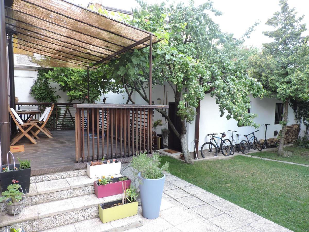 Apartment Apartments Music And Garden